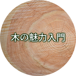 木の魅力入門