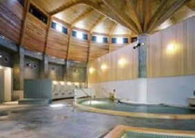 日帰り天然温泉・あらたまの湯